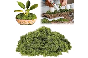 AHLMA 200 g Muschio Artificiale per Decorazione Muschio Finto per Decorazioni Muschio Stabilizzato è Adatto per il Bricolage da Parete e il Modellismo di Acquari (colore chiaro)