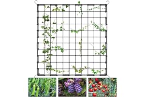 Tiusixsy Red de Enrejado elástico, Red de Tienda de Cultivo, Malla Elástica para Plantas Trepadoras con 4 Gancho, para Verduras,Frutas,Flores(120 x 120 cm) (120 x 120 cm)