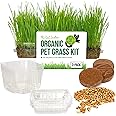 The Cat Ladies Cat Grass for Indoor Cats - Growing Kit - Organic Cat Grass Seeds, Soil and BPA Free Containers (Non GMO) - Locally Sourced Seeds! (3 Pack)