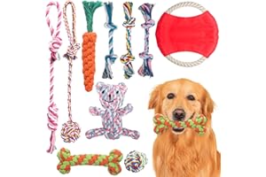 Weocar Dog Rope Toys, Cotton Puppy Rope Toys for Teeth Cleaning, Small Dogs Chew Toys, Dog Tug Ropes, Family Interactive Games with Dogs, Nice Variety of Dog Rope Toys, Set of 10