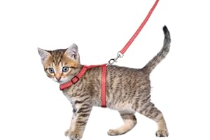 Flamingo Geschirr mit Leine für Kätzchen – Aiwa | Verstellbar (15-25 cm, 20-35 cm) | Leinenlänge: 100 cm | Stilvoll & Bequem