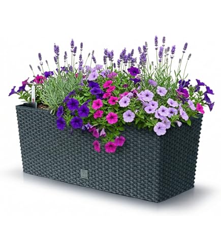 Jardinière avec insert pot de fleurs Prosperplast Urbi Case DUC400-S449 - blanc mat Jardinière avec insert pot de fleurs Prosperplast Urbi Case DUC400-S449 - blanc mat