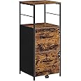 VASAGLE Filing Cabinet for Home Office, File Cabinet with 2 Drawers, Open Shelf, Steel Frame, for A4 and Letter Sized Files, Printer Stand, Industrial, Rustic Brown and Black OFC045B01