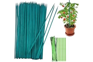 QUNKUN 50 bastoncini per piante da 30 cm, bastoncini di fiori verdi, bastoncini di bambù con 50 nastri metallici, per la casa, il giardino, l'arrampicata