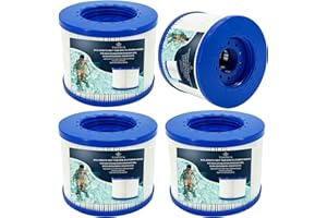 YANHUA Filtre de Spa à Visser,Compatible pour Cosy Spa, Clever Spa et de Plus,Filtre à Vis pour Spa Gonflable pour Spa Rechange Filtre (4)