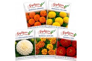 Saphirre Seeds Easy to Grow All Season Marigold Seeds Combo| Seeds for Home Garden | Marigold Orange, Yellow, White, Red, Jafri | 400+ Seeds | Best Gift for Gardeners