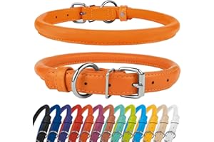 CollarDirect Collar Perro Cuero Redondo, Collar Resistente Antienredos para Cachorros Suave y Acolchado, Piel Genuina Hecho a Mano para Perros Grandes Pequeños y Medianos, Collares para Gato