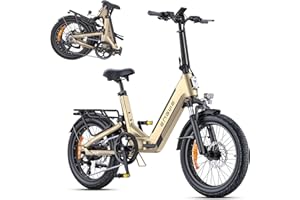 ENGWE Bici Elettrica con APP, Bicicletta Elettrica 48V 13.5Ah con Batteria fino a 135km, Sensore di Coppia e Freni Idraulici, Pneumatici 20 * 3.0, 2 ore di carica