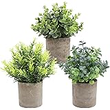 THE BLOOM TIMES Set mit 3 kleinen Kunstpflanzen in Töpfen aus Kunststoff, für rustikale Heimbüro, Schreibtisch, Bauernhaus, B