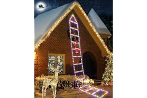 iShabao 3M Noel Guirlande Lumineuse Extérieur, 310 LED Lumières Échelle de Noël avec le Père Noël, 8 Modes Fonction Mémoire Minuteur, pour Decoration Noel Exterieur et Interieur(Multicolore)