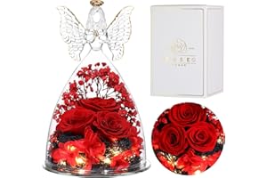 ‎EAPRALA Eaprala DREI Konservierte Rosen Geschenk in Glas Engelsfiguren, Geburtstagsgeschenke für Frauen, Engel Geschenke für Sie auf Jahrestag,Weihnachten,Valentinstag.Rot