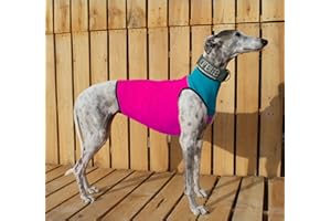 Galguita Amelie Salopette in Lycra per levrieri, rosa e blu (S)