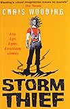Storm Thief