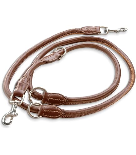 Migliori Guinzaglio Per Cani In Cuoio (con Recensioni - Foto 10