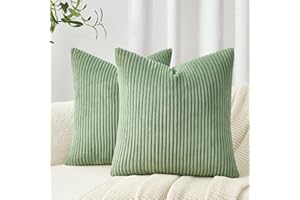 Topfinel Federe Cuscini 40x40 in Velluto a Coste per Divano Salvia Japonica Verde Copricuscini Quadrati Elegante Decorativa per Salotto Moderno Cuscino Cerniera Invisibile per Camera da Letto 2 Pezzi