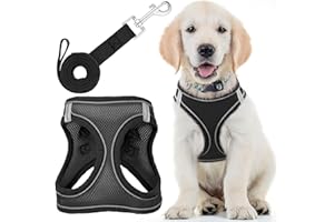 EcoEarth Dog Harness (Small, Black) W/Leash for Running, Hiking & Training, Soft-Padded & No-Pull Design Pet Harness W/Leash Clips & Reflective Strips for Safety