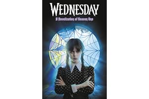 Wednesday: A Novelisation of Season One
