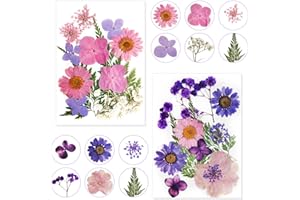 DBUWQIPS Fiori Secchi per Resina Fiori Secchi per Candele Fiori Secchi Pressati Fiori Secchi Decorativi Fiori Essiccati Decorativi Fiori Pressati Secchi per DIY Unghie Candele Decorazioni Scrapbooking