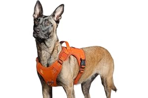 rabbitgoo Arnes Perro Antitirones, Arnes Perro Grande Mediano Transpirable, Arnes Táctico Perro Ajustable con Asa Anillos y Molle, Chaleco Durable Reflectante para Adiestrar Caminar Cazar, Naranja, L