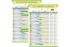 BRICK NEST Calendrier de plantation de jardinage et de lotissement - Guide de semis et de récolte réutilisable toute l'année - Poster imperméable pour serre ou abri de jardin - Cadeau parfait pour les jardiniers