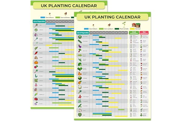 Calendrier de plantation de jardinage et de lotissement – Guide de semis et de récolte réutilisable toute l'année – Poster imperméable pour serre ou abri de jardin – Parfait pour les jardiniers