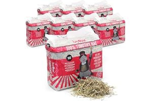 HAYPIGS 1kg (x8) 100% First Cut Timothy Hay for Guinea Pigs Feeding - Hay for Rabbits and for Guinea Pig Hay - Eco Bag of Feeding Hay for Chinchilla Food and Degu Food