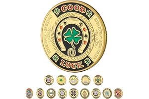 LuluCircle Poker Guard, Weights for Poker, Poker Gifts for Men, Poker Card Protector, Poker Accessories, Poker Chips with Plastic Case (Double Luck)