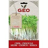 Geo Crescione Semi da Germoglio, Marrone, 12.7x0.7x20 cm