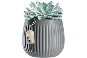 KADAX Doniczka na kwiaty, ceramiczna donica z tłoczeniami dekoracyjnymi, doniczka na rośliny w 4 wariantach kolorystycznych, ceramiczna donica na rośliny pokojowe, ozdobna donica o ponadczasowym