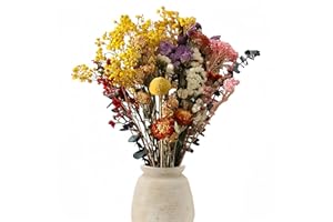 Frogetu 30PCS Flores Secas Preservadas Naturales, Mezcla de 11 Flores y Plantas Secas, Decoración para Mesa, Comedor, Hogar y Bodas
