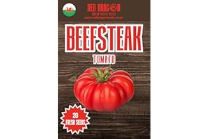 RED DRAGON SEEDS Beefsteak Coeur De Boeuf Tomato Seeds - 20 Fresh Beefsteak Coeur De Boeuf Tomato Seeds