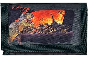 Theonoi Kinder Geldbörse Geldbeutel Portemonnaie Brieftasche (Dinosaurier)