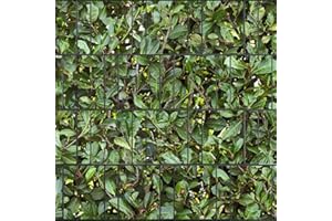 PerfectHD Zaunsichtschutz - Sichtschutz mit Motiv - Sichtschutz Bedruckt - Kirschlorbeer - Polyester Gewebe - 26 m Rolle - 19 cm breit - 32 Motive