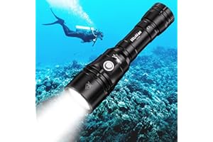Wurkkos DL20R Diving Flashlight, 3200 Lumens Scuba Diving Torch Built-in USB-C Charging Port, IPX8 Waterproof, XHP50.2 LED Underwater Torch with Charger
