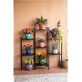 miyuhome 7 Raflı Paslanmaz Metal &Ccedil;i&ccedil;eklik Yıkanabilir Raflar &Ccedil;ok Ama&ccedil;lı Raf Bitki &Ccedil;i&ccedil;ek Standı Siyah