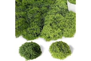 CATOR Muschio Finto per Decorazioni 100g, Muschio Stabilizzato Nylon, Artificiale Muschio Sintetico per Acquario Modellismo Terrario Casa Decori