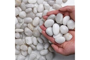 Hisredsun Pierres décoratives blanches de 1,8 kg, galets polis naturels pour pots de fleurs, roches de rivière pour l'aménagement paysager, remplissage de vases, plantes grasses, décoration d'aquarium