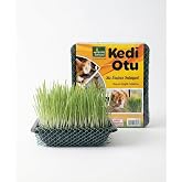 Meraklı Bah&ccedil;eci Kedi &Ccedil;imi - Kedi Sindirim Sistemini Rahatlatıcı Sağlıklı Kedi Otu