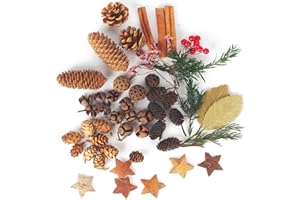 LIAILA 58 piezas corona de adviento decorar, Kit de manualidades para decoración de plantas naturales, piñas navidad, incluye conos de álamo, conos de arce, conos de abeto, estrellas de corteza de abedul