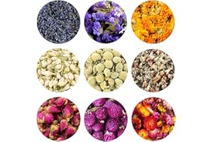 TooGet Dried Flowers Includes Lavender, Forget-me-not, Marigold, Jasmine, Scindapsus Aureus Flower, Rose, Gomphrena Globosa, Strawflower, Natural Flowers for All Kinds of Crafts