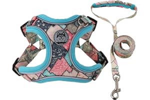 OUFUSILK Pettorina Cane Taglia Piccola, Pettorina per cani con guinzaglio, Pettorina per Cani No Pull,Regolabile Riflettente Pettorina Anti Tiro per Cani con Doppio Gancio per Addestramento Passeggiate, XS