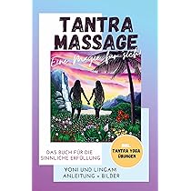 U mushuk bilan katta obektga otirdi