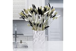 ‎APOMKJOE 120 PCS Pampasgras Trockenblumen Deko, Natürlich Trockenblumenstrauß Schwarz Weiss Hasenschwanz Gras Getrocknete Blumen Deko für Boho Tischdeko