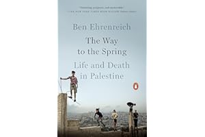 The Way to the Spring: Life and Death in Palestine