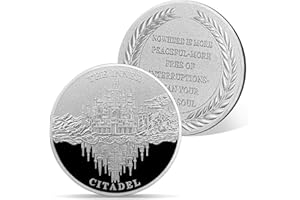 ‎ATSKNSK AtSKnSK Stoische Münze der Inneren Zitadelle Feuer Flamme Schloss Rose Totenkopf Münze AA Chips Medaillons Nüchternheits Geschenke für Männer Damen Geschenke für Anonyme Alkoholiker (Citadel)