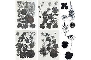 Woohome 64 Pz Naturales Flores Prensadas Secas, Negro Hojas Prensadas Secas Naturales, Flores Secas Reales para Resina Scrapbooking, Joyería de Resina Epoxi