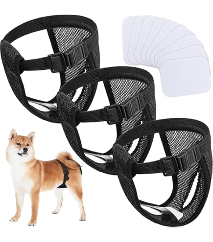 Aomig Set van 2 herbruikbare hondenluiers met 6 verstelbare hygiënische pads, wasbare luiers voor honden