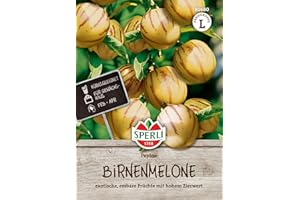 Sperli Birnenmelonensamen Pepino 80680 - exotisch - Kübelgeeignet - für Gewächshaus - essbar - hoher Zierwert - Samen Gemüse, Gemüse Pflanzen, Saatgut