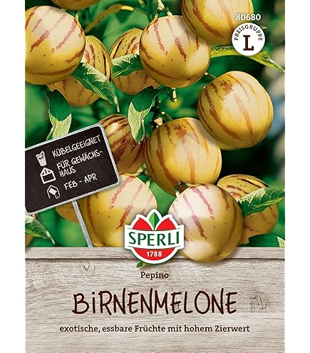 Plonos Szklarnia 300 Cm X 200 Cm X 200 Cm (4910-a Diameter Plonos Sklep Szklarnia Ogrodowa, 9 M², 300 X 300 X 200 Cm (45749) • Cena, Opinie Plonos Szklarnia 300 Cm