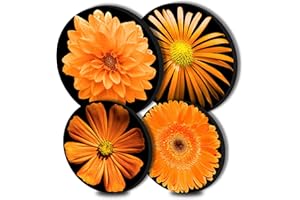 WALARKY Sonnenblume runde Metall-Herdabdeckungen, 4-teilig, Herdplatten Herdabdeckungen, für Elektroherde, Top-Brenner, Gas-Serie, Backofenschutz, Küchenutensilien Zubehör moderne Kochplatte Küchendekoration